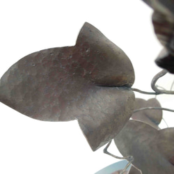 【鉄の植物　カセキの時間シリーズ】OKP-092　天の雫A　ハイビスカス 7枚目の画像