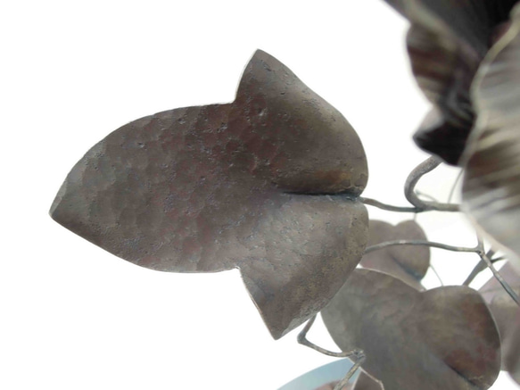 【鉄の植物　カセキの時間シリーズ】OKP-092　天の雫A　ハイビスカス 7枚目の画像