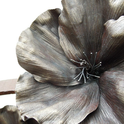 【鉄の植物　カセキの時間シリーズ】OKP-092　天の雫A　ハイビスカス 8枚目の画像