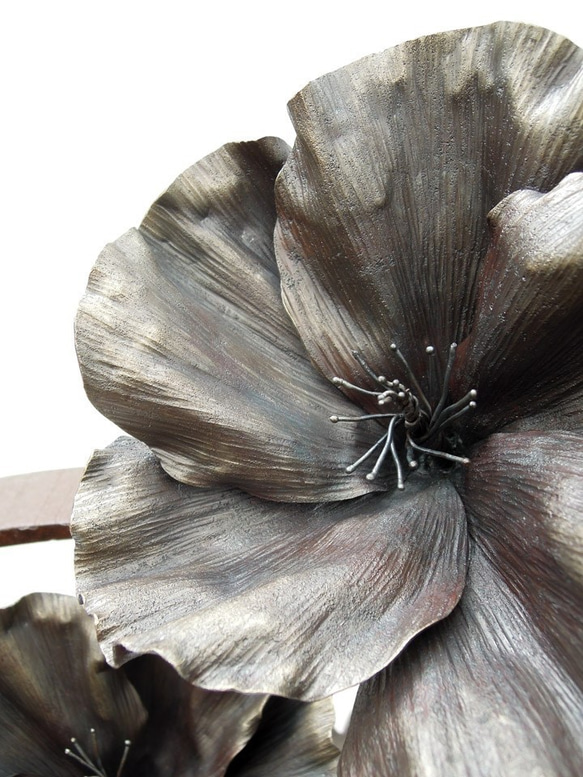 【鉄の植物　カセキの時間シリーズ】OKP-092　天の雫A　ハイビスカス 8枚目の画像