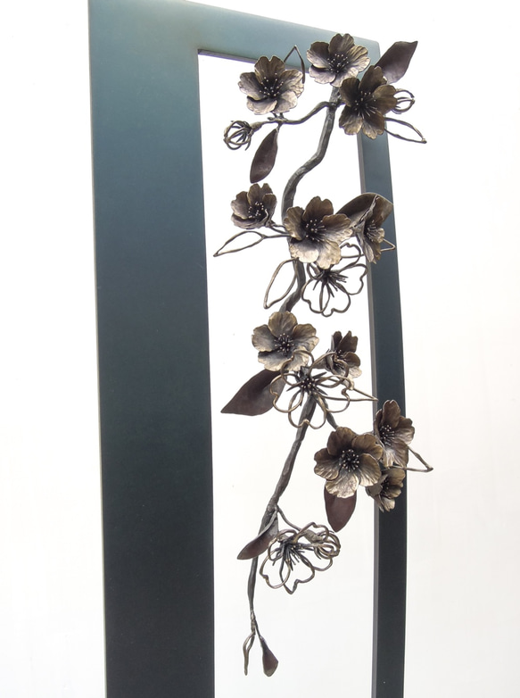 【鉄の植物　カセキの時間シリーズ】BOX 桜　OKP-162 5枚目の画像