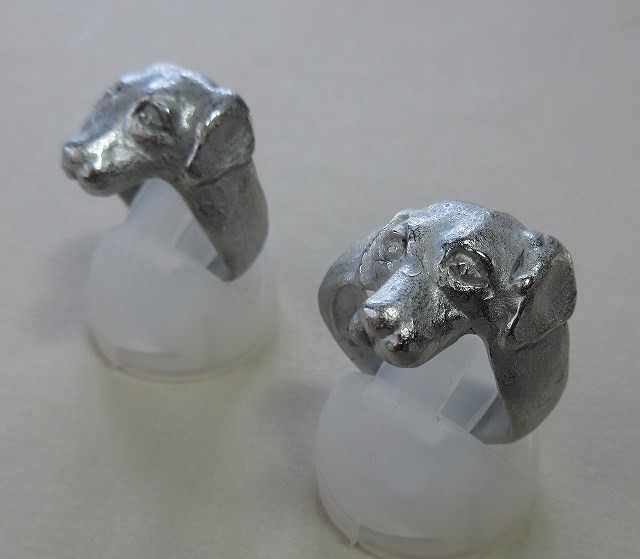 レトリバーのリング　　犬