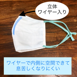 2 件套❤️ 棉和紗布材質 3D 面罩帶線（成人標準尺寸）綠色條紋，海軍藍色條紋 第4張的照片