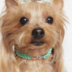 レザーleather♥スワロ♥チェコガラスリボン♪【首輪】[お好きな色の革編み]　クリスタル 10枚目の画像