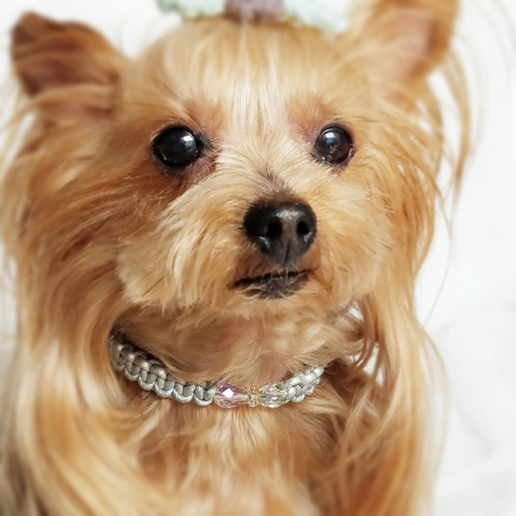 レザーleather♥スワロ♥チェコガラスリボン♪【首輪】[お好きな色の革編み]　クリスタル 9枚目の画像