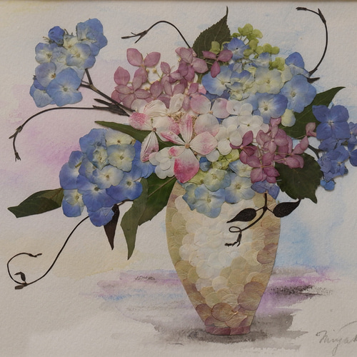 押し花専用額 高級額入り 押し花アート  不思議な花倶楽部  モミジとあじさい 押し花専用額 押し花アート 不思議な花倶楽部 しらかば - メルカリ