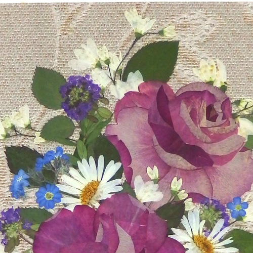 クリアファイルプレゼント！押し花アート。ピンクと紫の珍しい