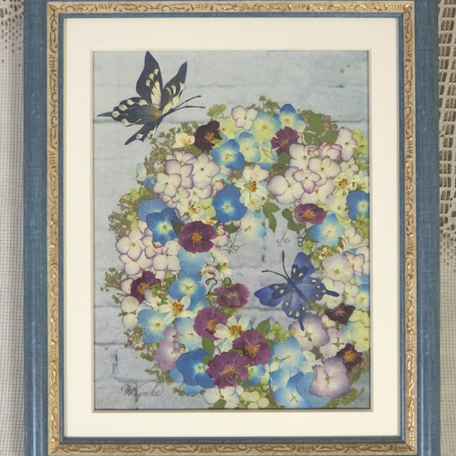 アジサイ 押し花用額縁（押し花額 押し花アート 山アジサイ 植物