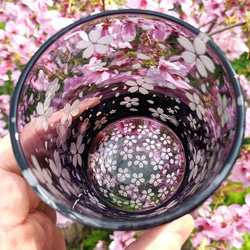 紫苑の桜舞吹雪 7枚目の画像
