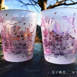 淡紫紅桜グラス 4枚目の画像