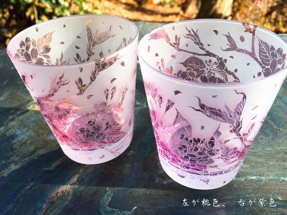 淡紫紅桜グラス 5枚目の画像