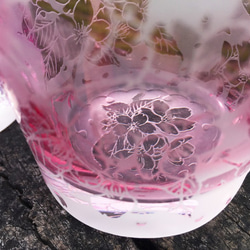 淡紫紅桜グラス 6枚目の画像