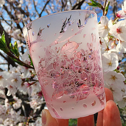 淡紫紅桜グラス 7枚目の画像