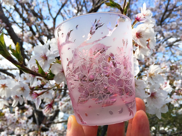 淡紫紅桜グラス 8枚目の画像