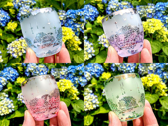 グラス 紫陽花 と 藤 セット 雨時彩（あじさい）お猪口【期間限定4色