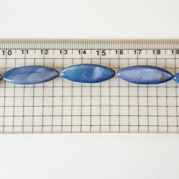 シェルマーキス　おまかせ8個 3枚目の画像