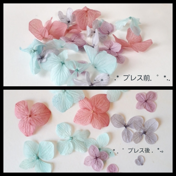 梅雨入り値下げ！700→650円  レジン用  小分け  花材～紫陽花ピンクセット～ 3枚目の画像