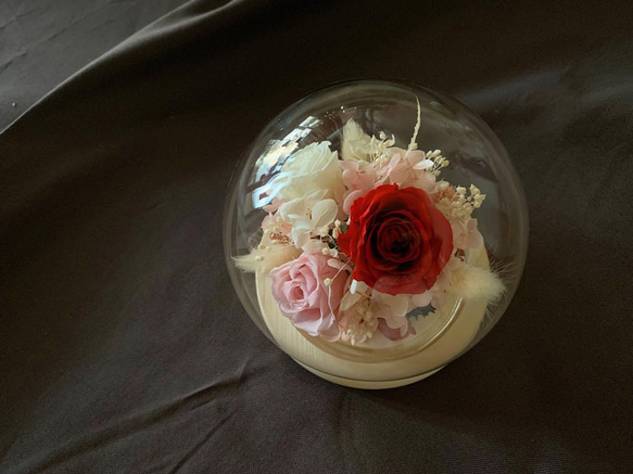 永生花 不凋玫瑰 玻璃罩鍾 母親節 禮物 第2張的照片