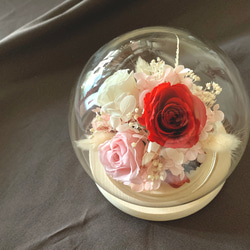 永生花 不凋玫瑰 玻璃罩鍾 母親節 禮物 第3張的照片