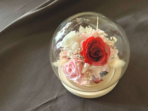 永生花 不凋玫瑰 玻璃罩鍾 母親節 禮物 第3張的照片