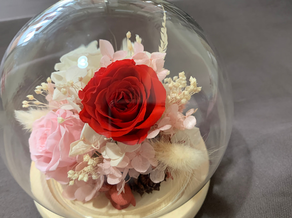 永生花 不凋玫瑰 玻璃罩鍾 母親節 禮物 第4張的照片