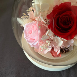 永生花 不凋玫瑰 玻璃罩鍾 母親節 禮物 第5張的照片
