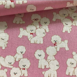 生地幅(110)×50cm ⑅綿麻キャンバス ⑅ ビションフリーゼ 犬 pink ୨୧ ⑅ 1枚目の画像