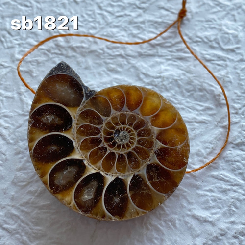 pipi様 ケセラストーン アンモナイト 天然石 pipi様 ケセラストーン