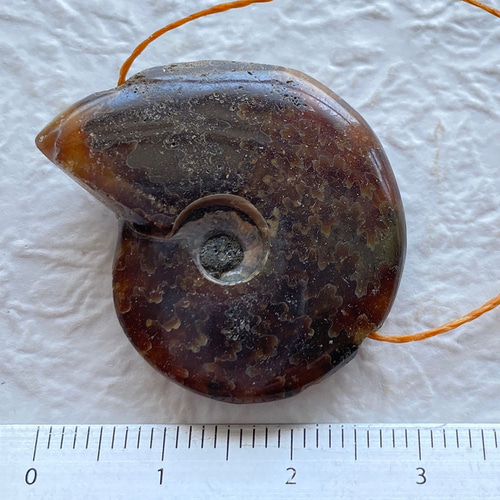 アンモナイト化石 アンモライト アンモナイト化石 穴あきビーズ sb1829 天然石 pinky