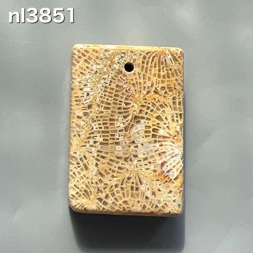 フォッシルコーラル 穴あき レクタグル 26ミリ nl3851 天然石