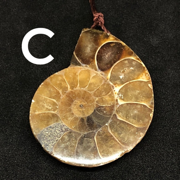 アンモナイト化石 穴あきC 天然石 pinky 通販 6994789｜Creema(クリーマ)