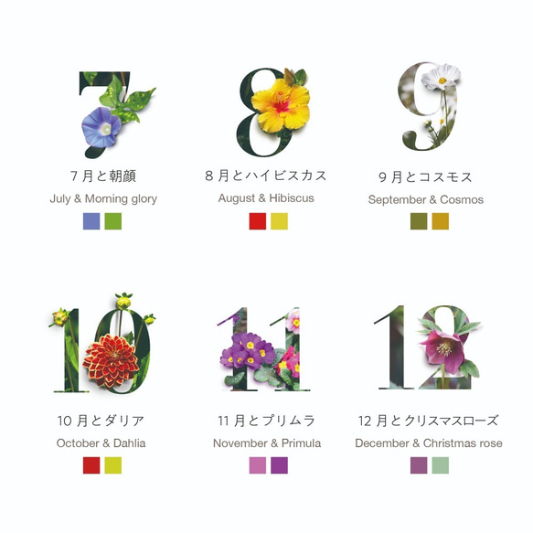 花と色を楽しむカレンダー【A3】2020 6枚目の画像