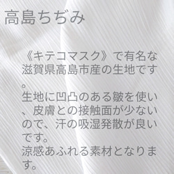 [夏マスク]　高島ちぢみ　フィルター&ノーズワイヤーのポケット付きも選べます 3枚目の画像