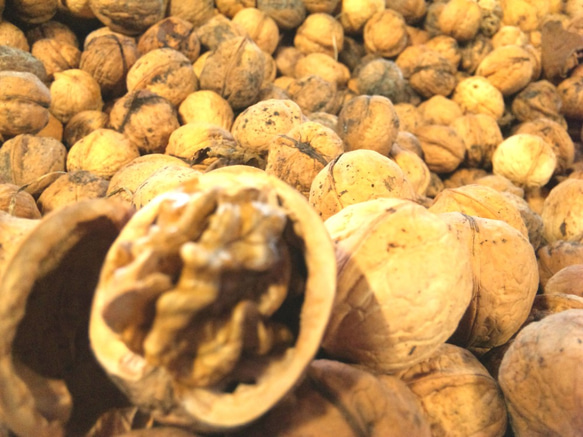 北海道の果樹園直営「くるみパウンドケーキ」 4枚目の画像