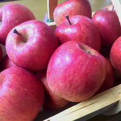 北海道の果樹園直営「りんごパウンドケーキ」ミニサイズ 7枚目の画像