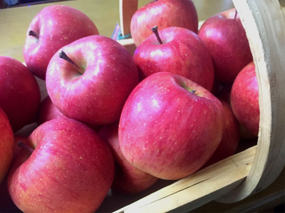 北海道の果樹園直営「りんごのチーズケーキ」ミニサイズ 7枚目の画像