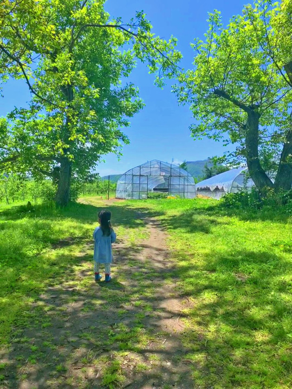 北海道の果樹園直営「くるみショコラパウンドケーキ」ミニタイプ 10枚目の画像