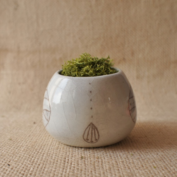 陶器のプランター　-多肉植物の鉢ー 5枚目の画像