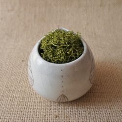 陶器のプランター　-多肉植物の鉢ー 9枚目の画像