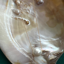 南洋真珠　11.5mm 5枚目の画像