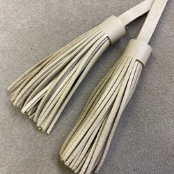  第4張的照片