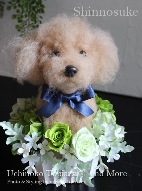[母親節禮物] My child topiary ★原創訂單 第3張的照片