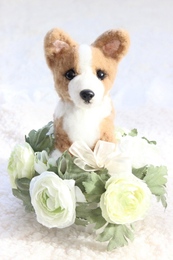 My Child Topiary (Corgi) ★原創訂單 第2張的照片