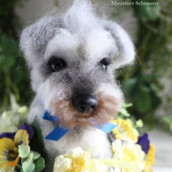 My Child Topiary (Schnauzer) 原始訂單 第1張的照片