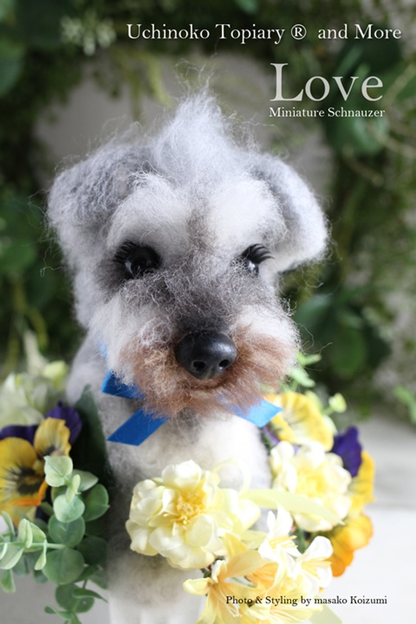 My Child Topiary (Schnauzer) 原始訂單 第1張的照片