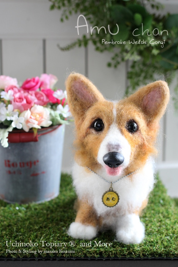 My Child Topiary (Corgi) ★原創訂單 第1張的照片