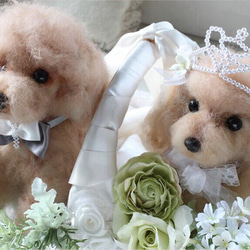[1身體婚禮在兒童歡迎的狗★原來的順序 第3張的照片