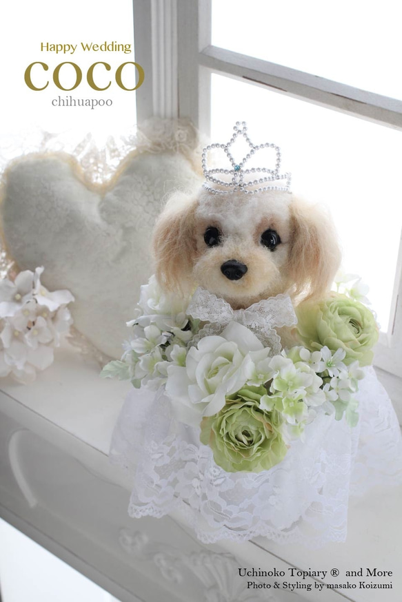 Yui Wishito定制頁面[婚禮]我孩子的歡迎狗★原始訂單 第2張的照片