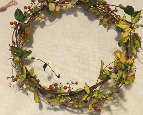 完売 超巨大/花材/フレッシュグリーンな採れたて【ヘクソカズラ