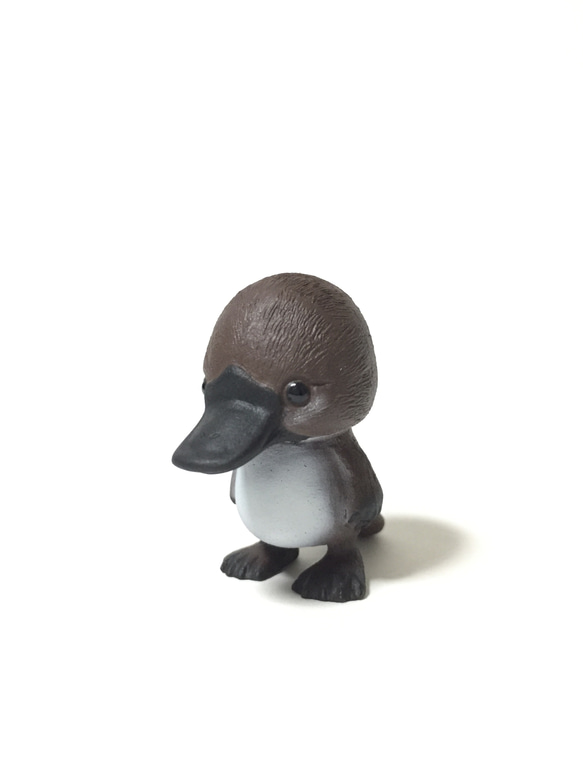 トコトコカモノハシ その他置物 トコアニワークス 通販 10401901